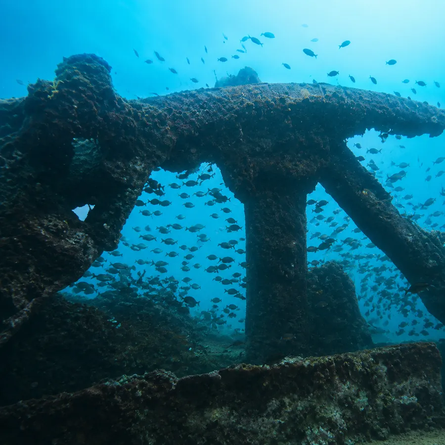 SSI Divemaster - Pro Leadership Programme