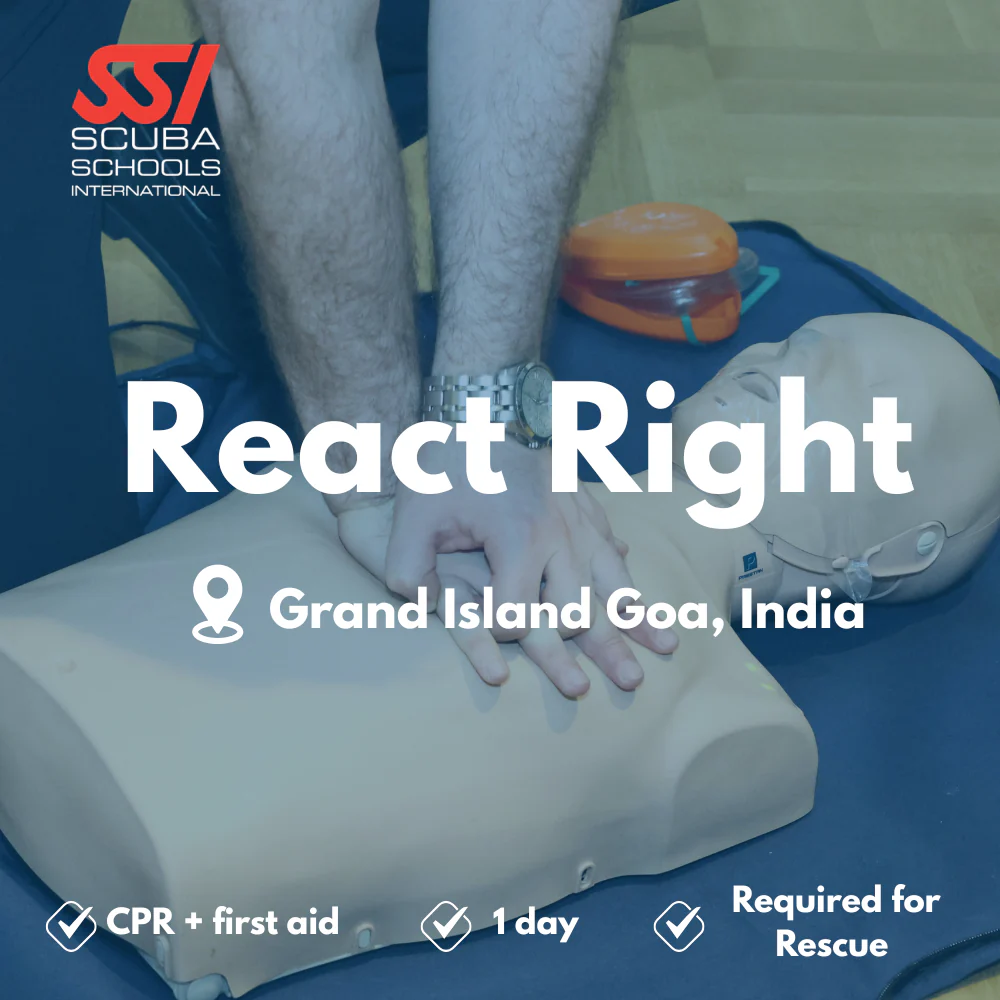 SSI React Right - CPR, First Aid & AED