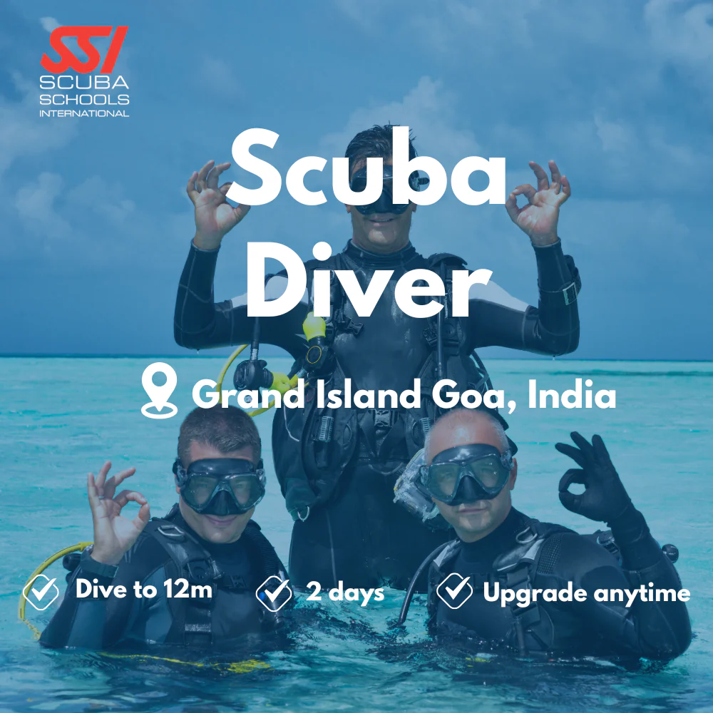 SSI Scuba Diver