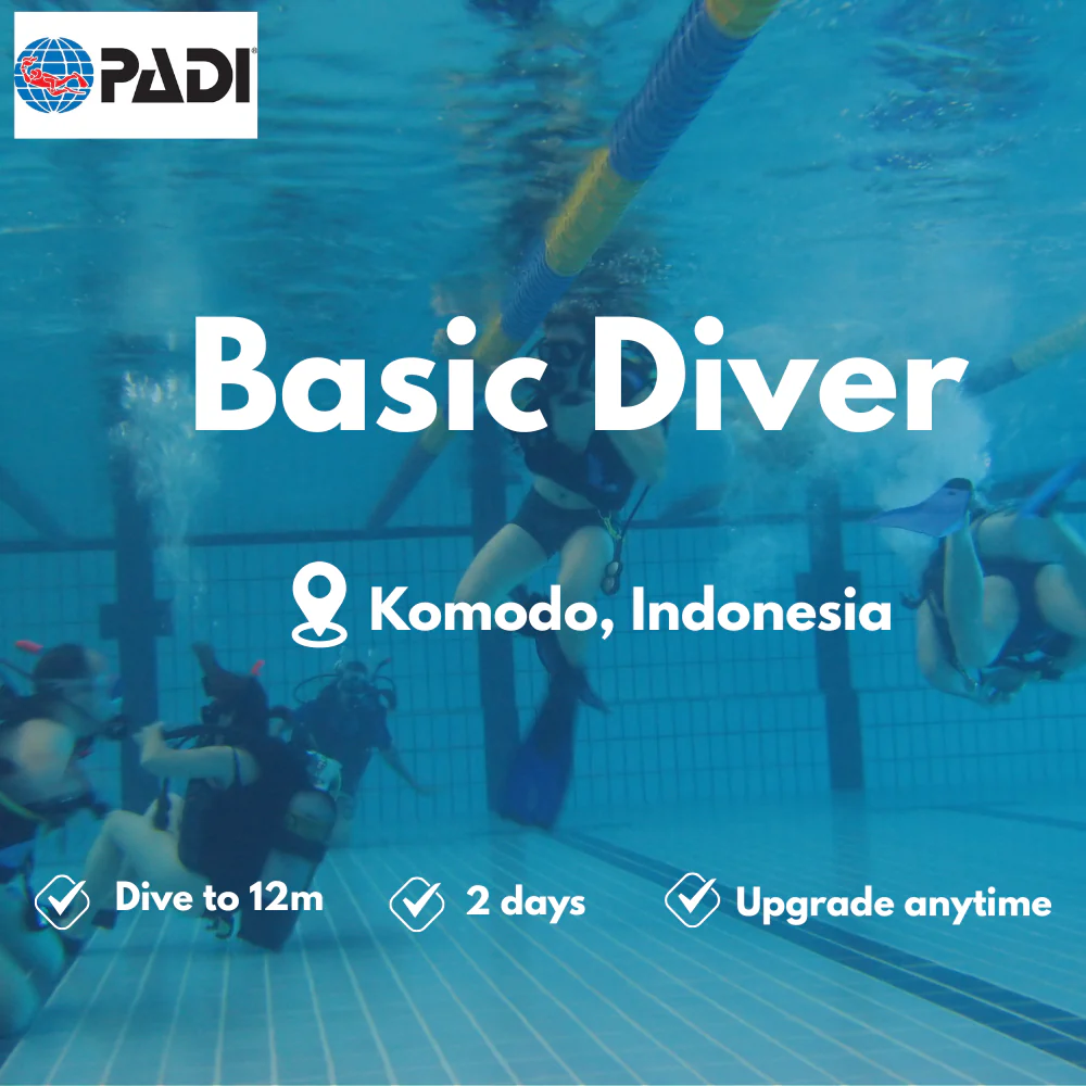 PADI Basic Diver course in Komodo