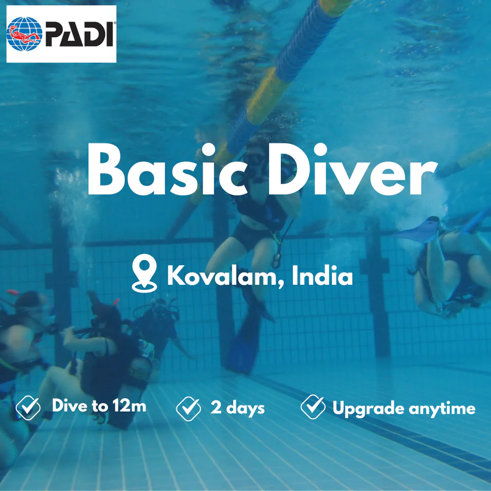 PADI Basic Diver course in Kovalam