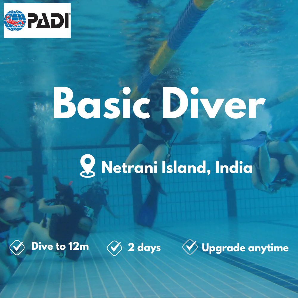 PADI Basic Diver course in Netrani Island