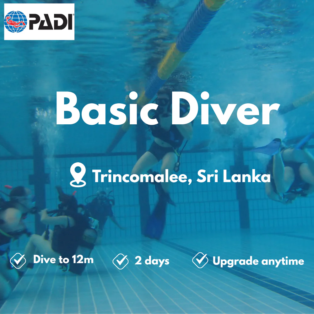 PADI Basic Diver course in Trincomalee