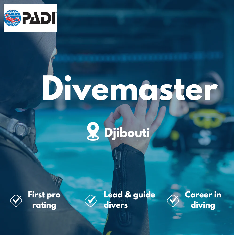 PADI Divemaster course in Djibouti