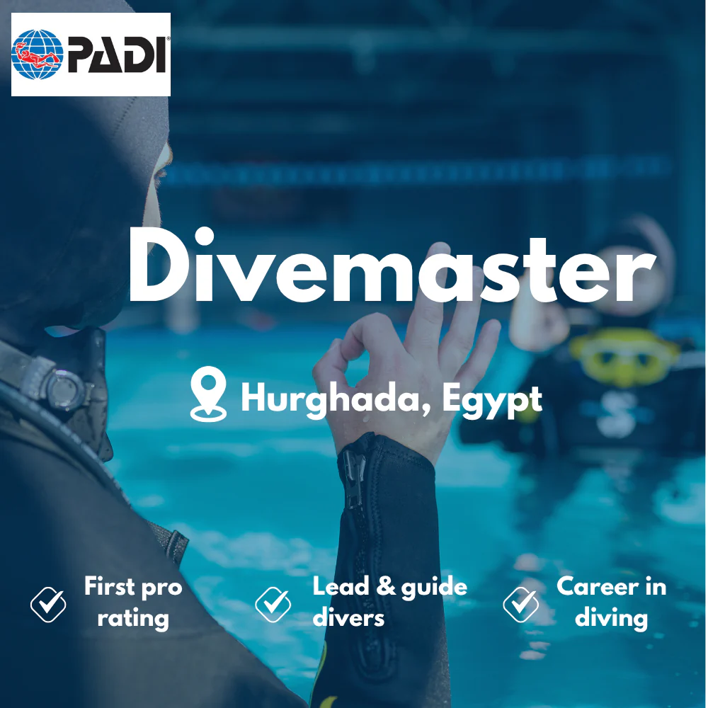 PADI Divemaster course in Hurghada