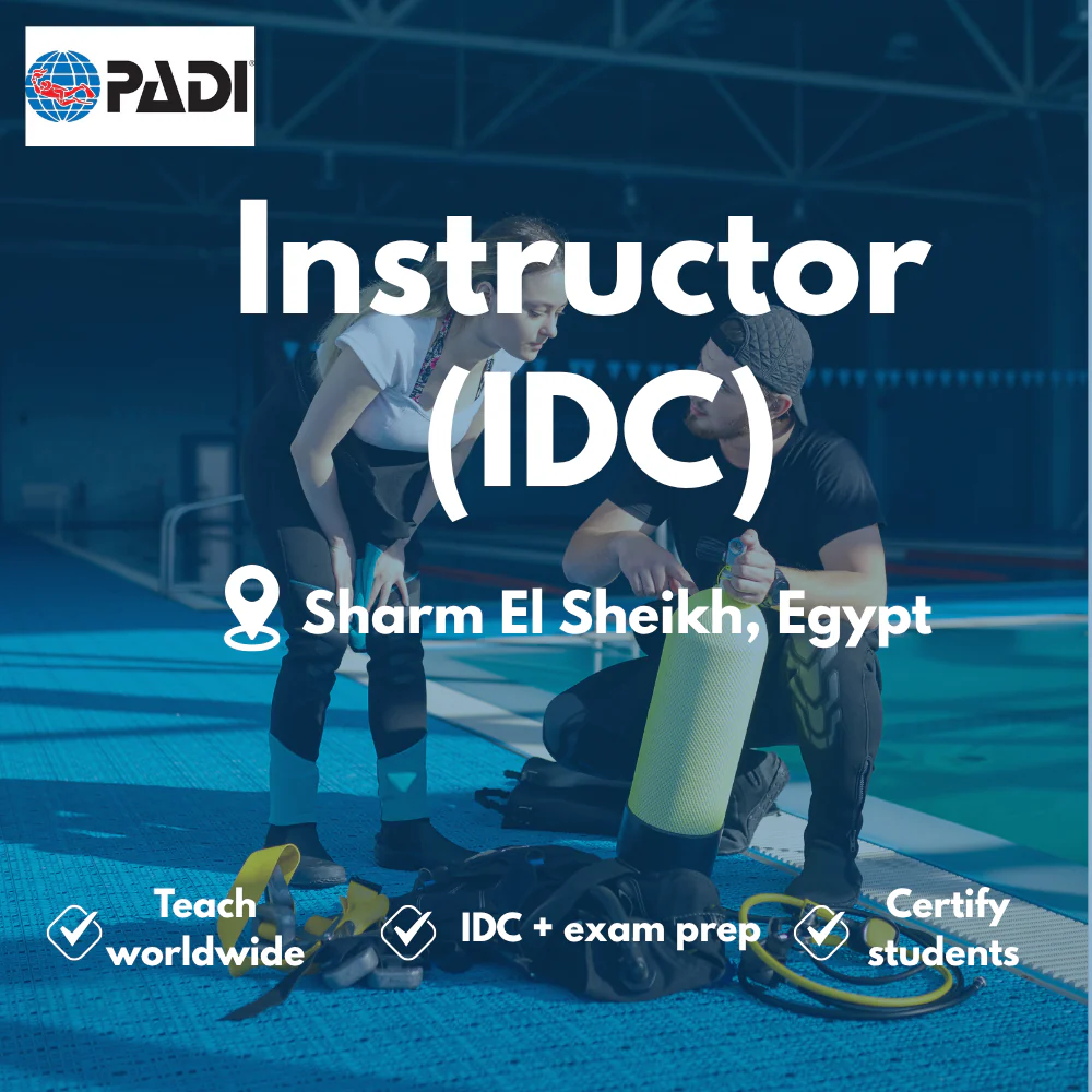 PADI Instructor / IDC course in Sharm El Sheikh