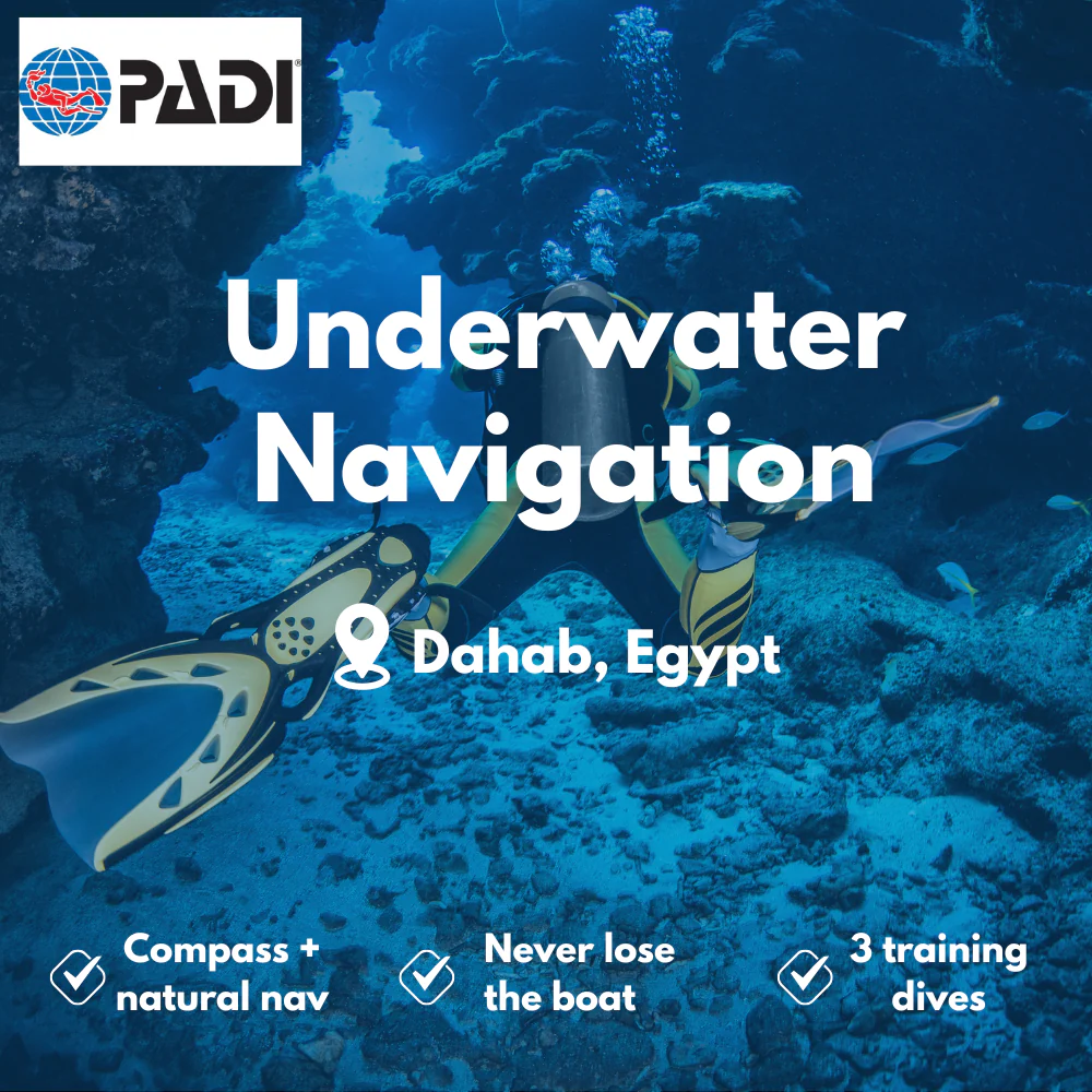 PADI Underwater Navigation course in Dahab