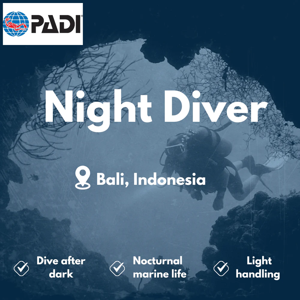 PADI Night Diver course in Bali