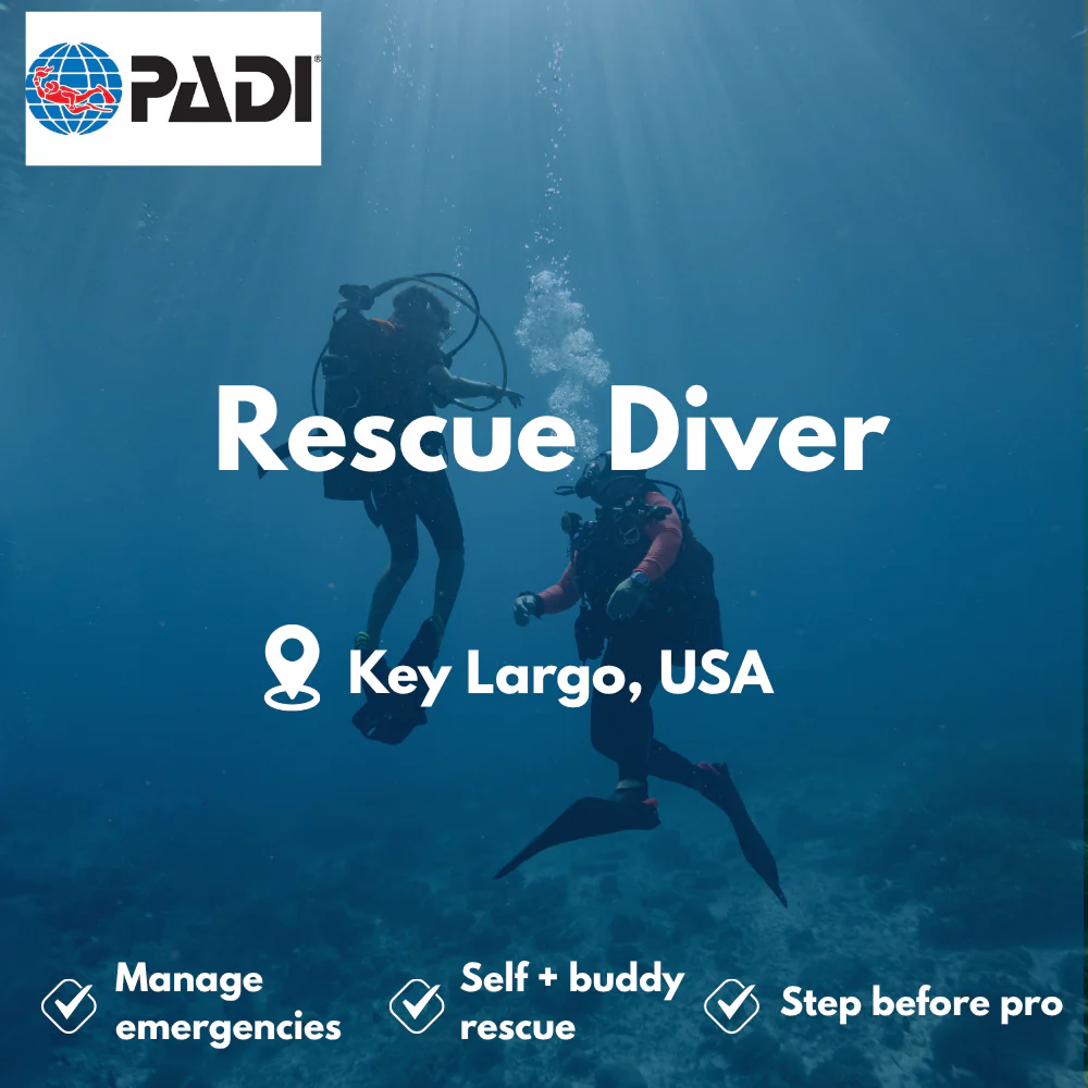PADI Rescue Diver course in Key Largo
