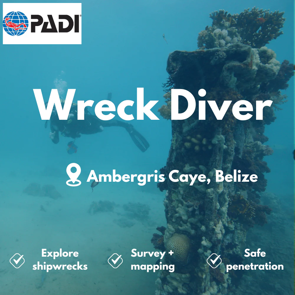 PADI Wreck Diver course in Ambergris Caye