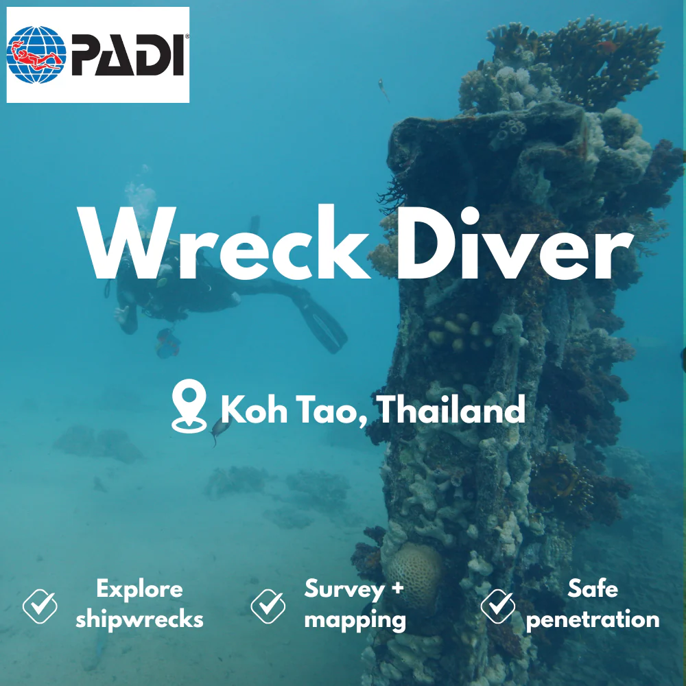 PADI Wreck Diver course in Koh Tao