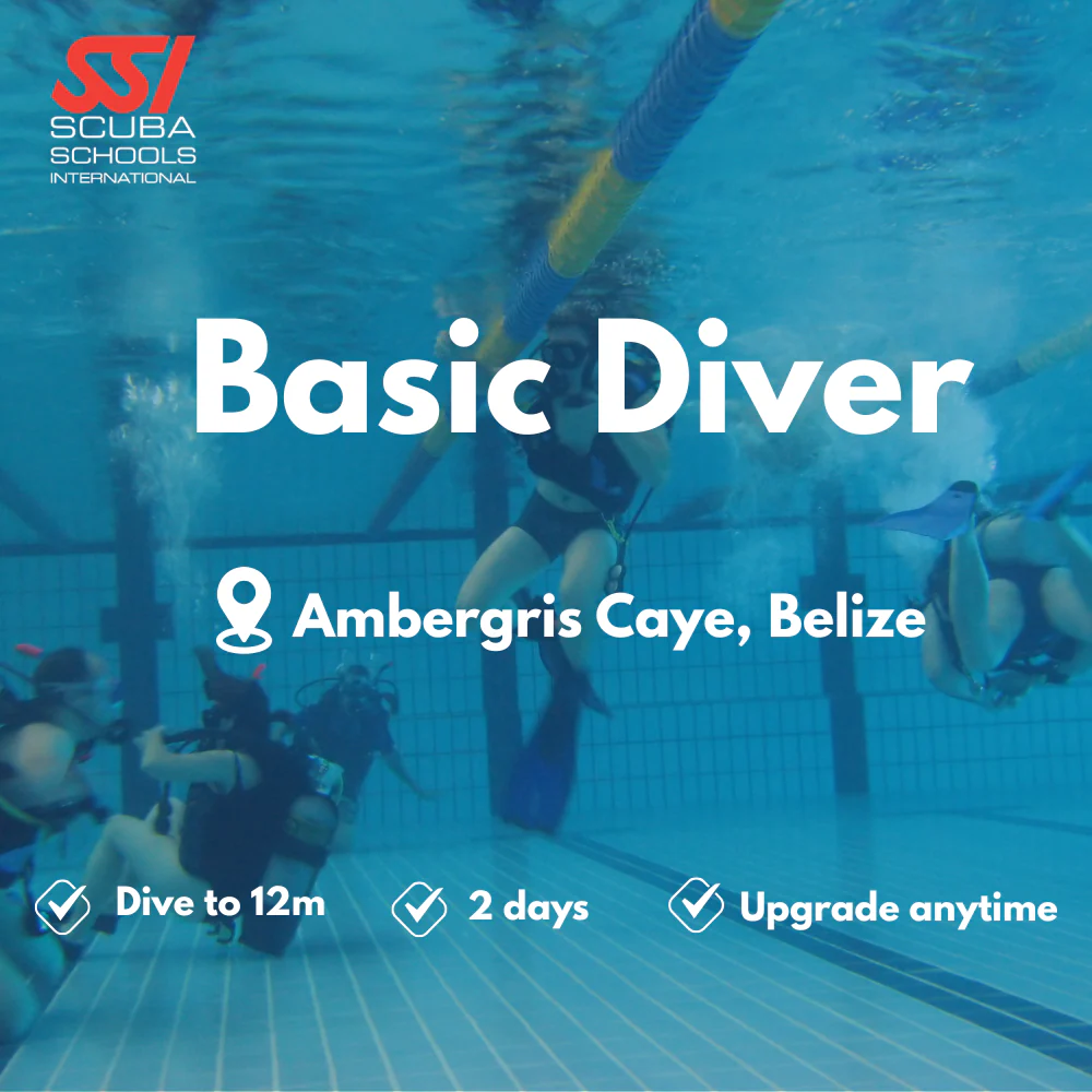 SSI Basic Diver course in Ambergris Caye