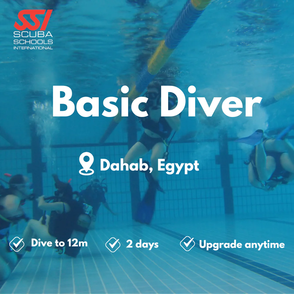 SSI Basic Diver course in Dahab