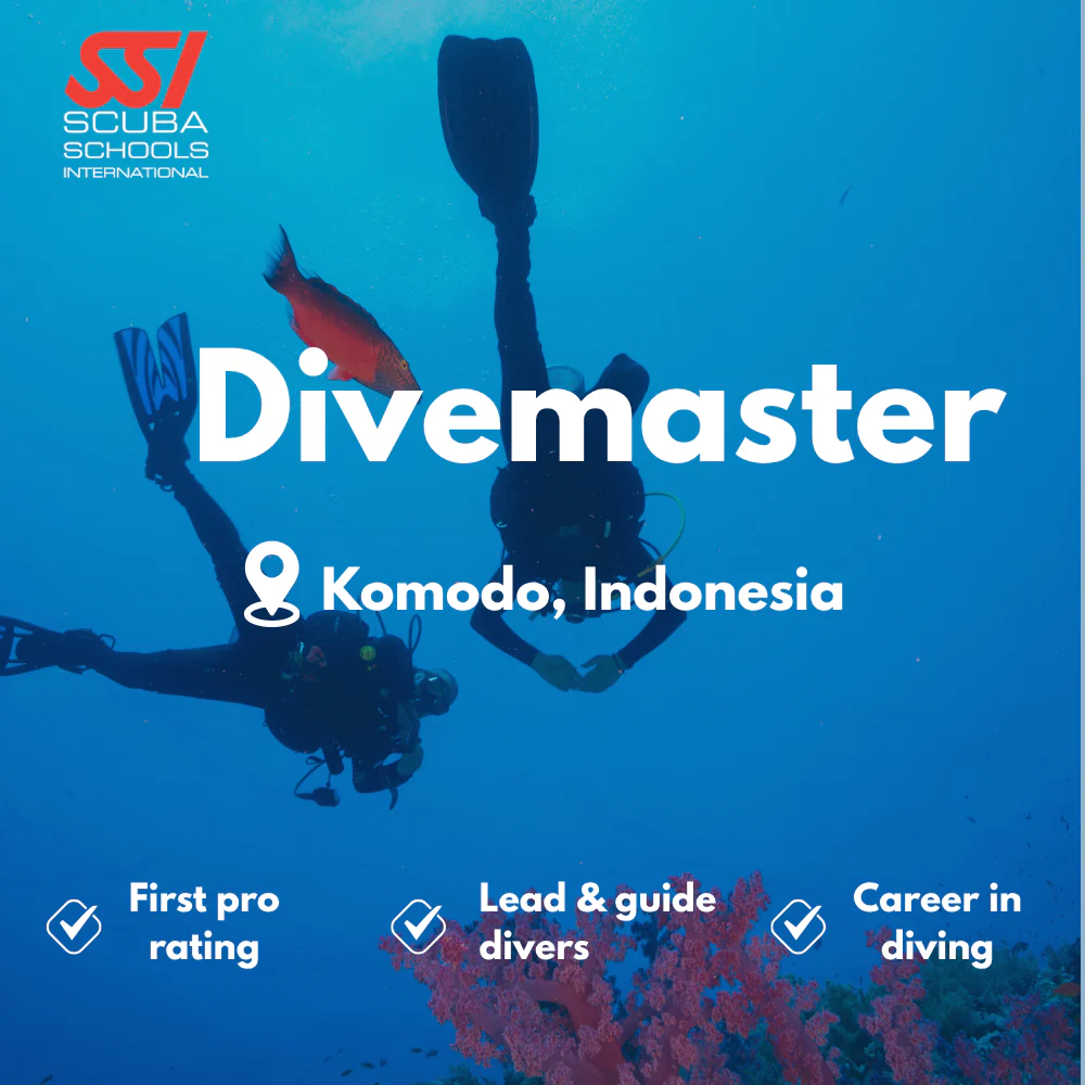 SSI Divemaster course in Komodo