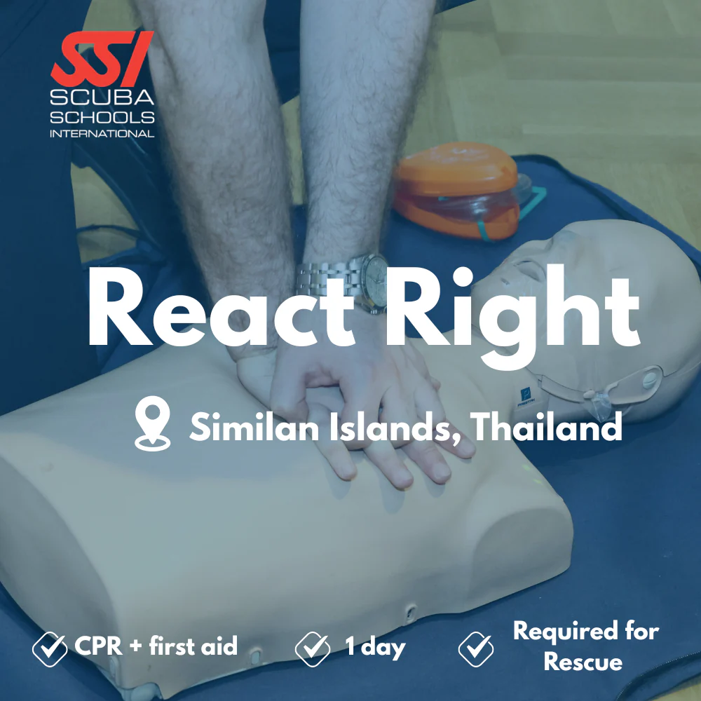 SSI Emergency First Response course in Similan Islands