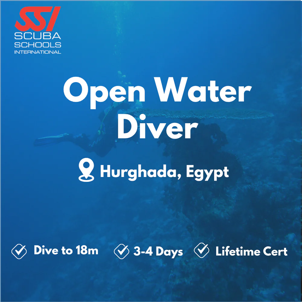 SSI Open Water Diver course in Hurghada
